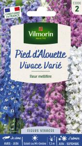 Pied d'Alouette Vivace Varié